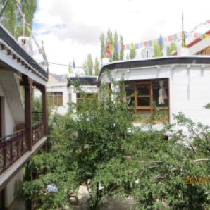 Unser Guesthouse in Leh